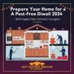 Pest Control Services in Gurgaon